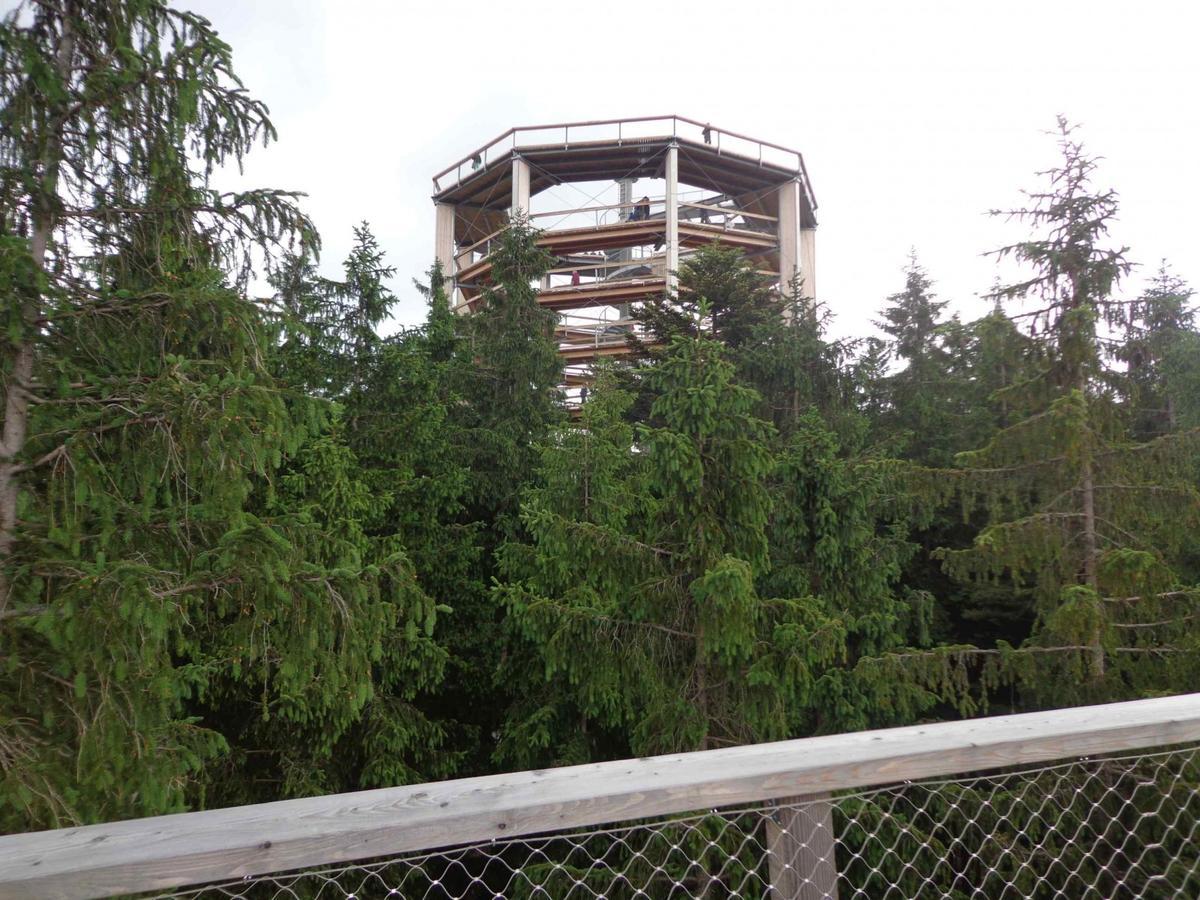 Club Rezidence Pod Luci Apartment Loucovice Bagian luar foto